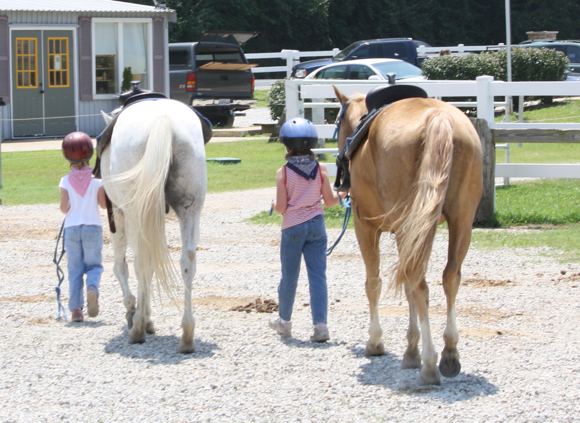 2010_06_26 Cowgirls Happy Trails.jpg